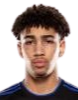 https://img.wmxindu.cn/img/football/player/fb7fd3390bdc25307ce54843fe6472dd.png